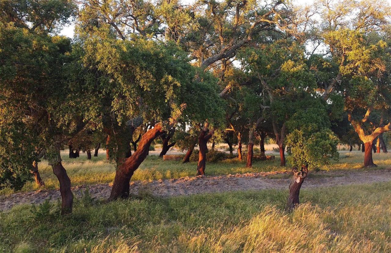 Casas E Glamping Quinta Da Saudade Villa Canha Kültér fotó